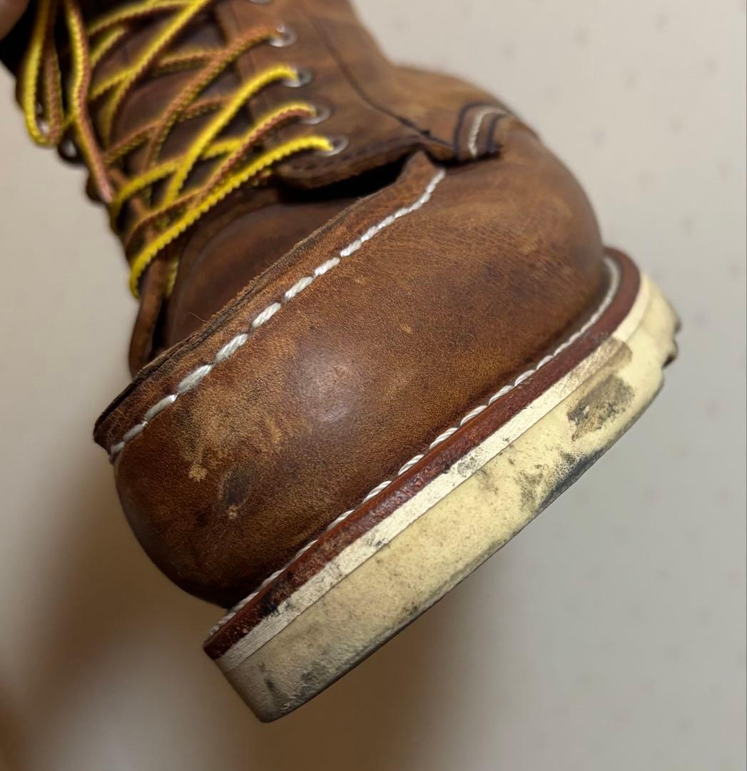 REDWING アイリッシュセッター