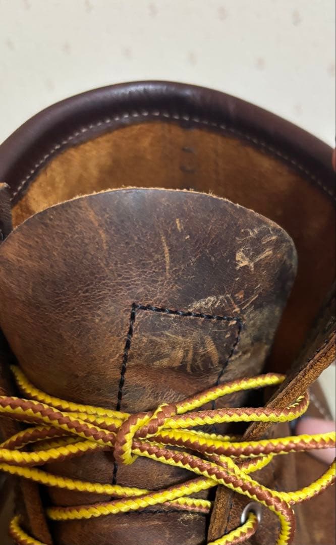 REDWING アイリッシュセッター