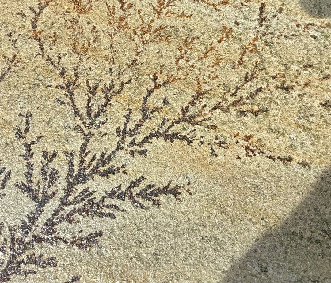 A*s様 美しいデンドライト（dendrite、樹枝状晶）、忍石　アート作品