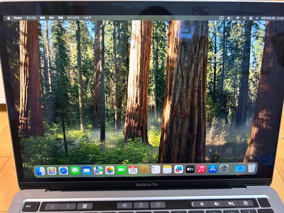 MacBook Pro 13インチ (2020)メモリ8GB256GB M1