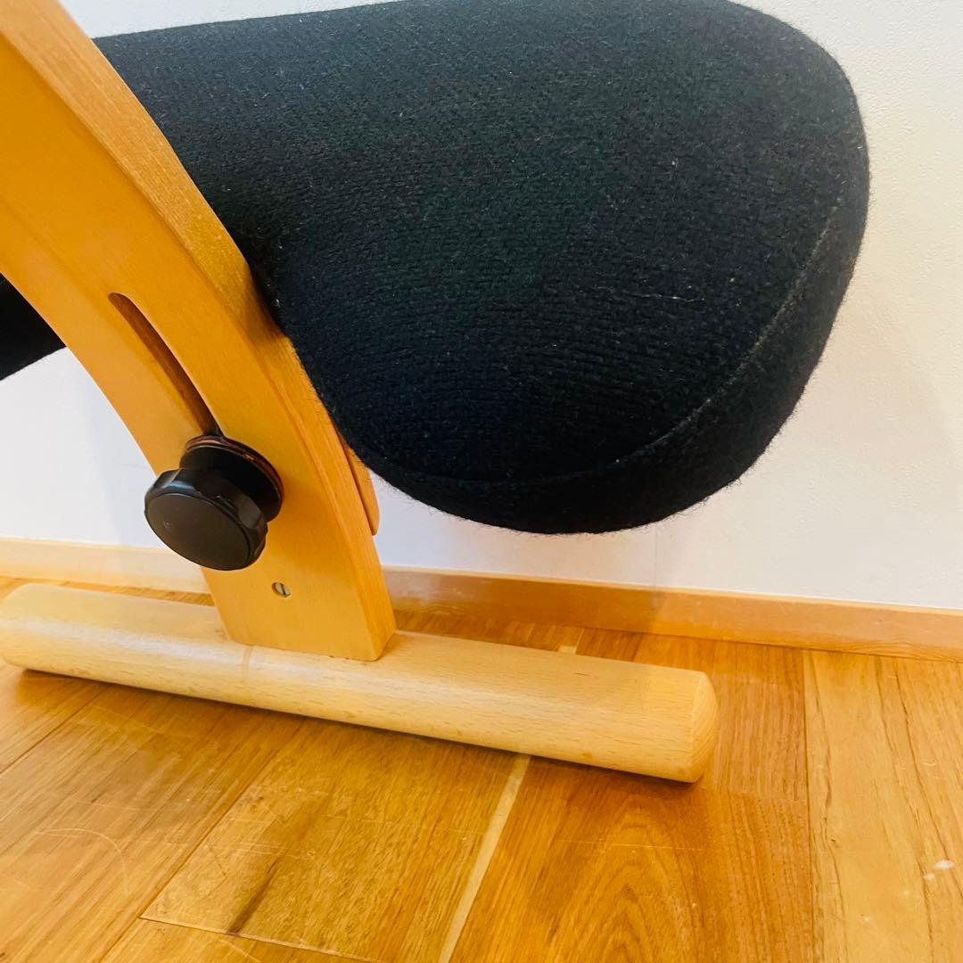 バランスチェア easy イージー リボ rybo バランスイージー サカモト