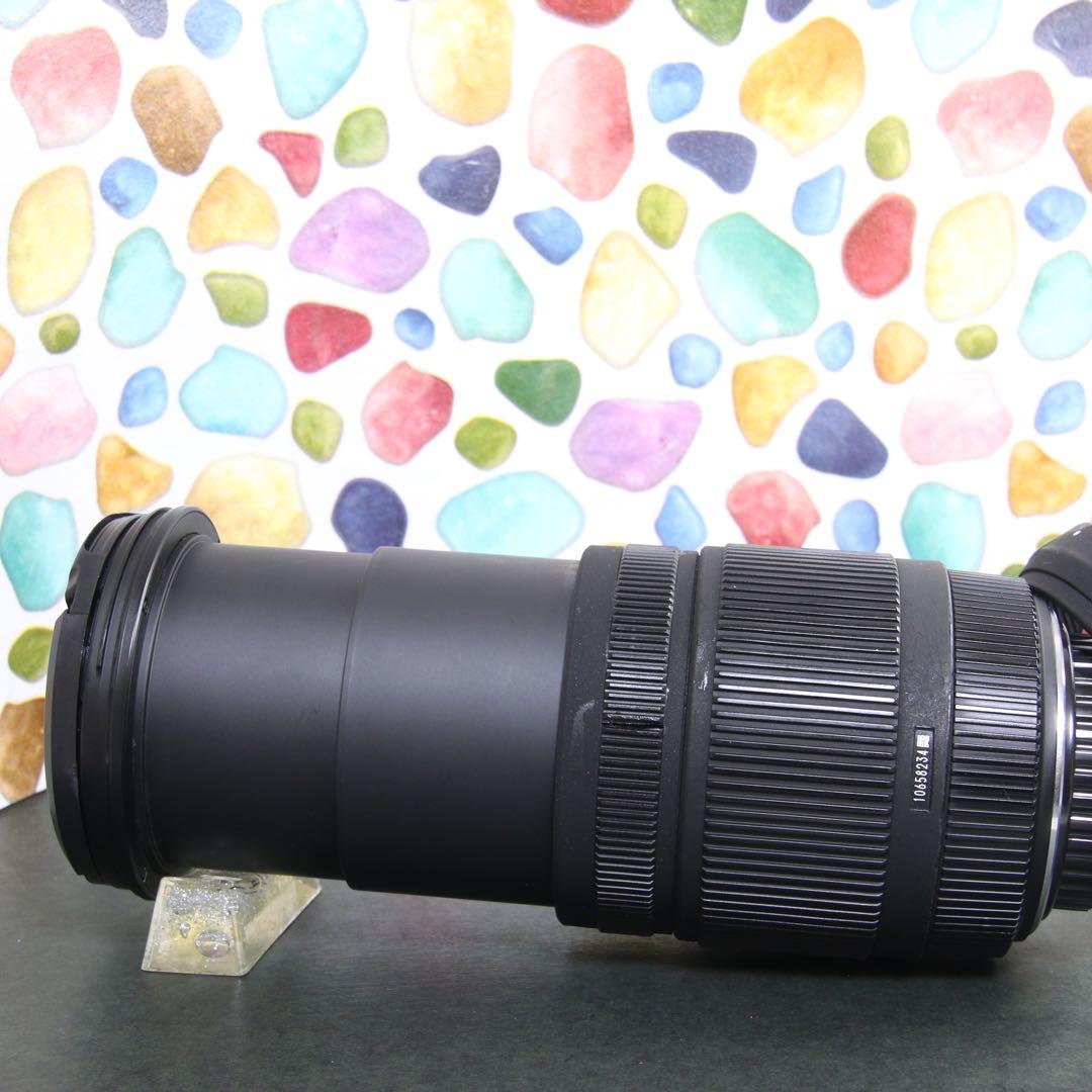 ♥︎◇近くから遠くまでこれ一本♪ SIGMA 18-250mm OS PENTAX