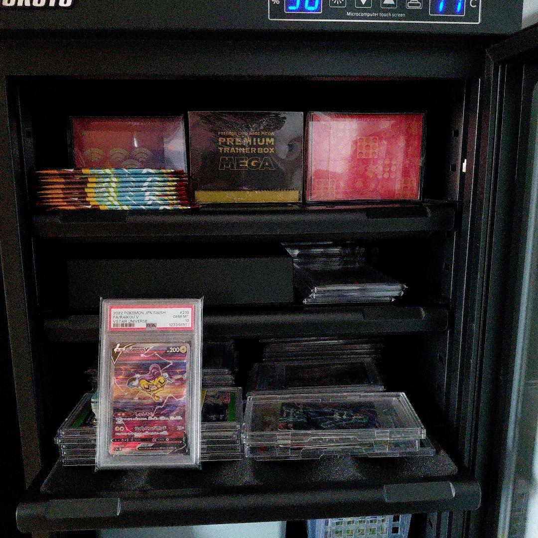 「PSA10」　ライコウV SAR