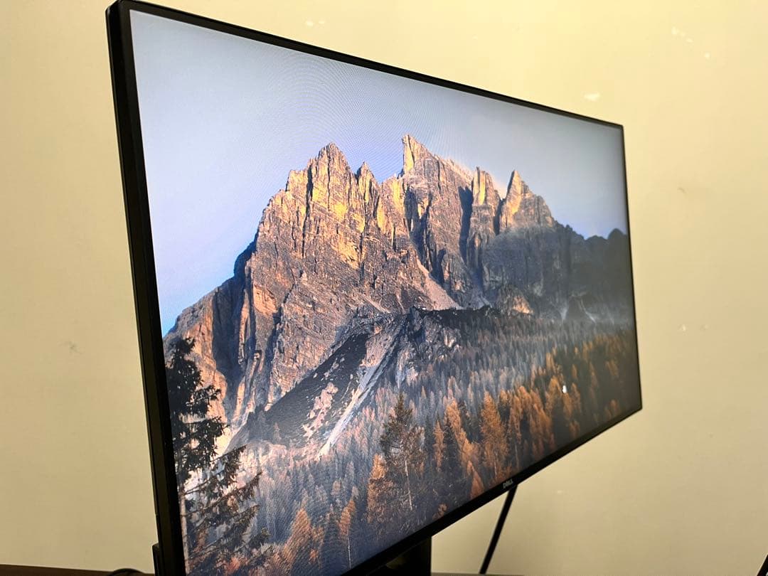 DELL U2417H フルHD液晶　24インチディスプレイ(23.8インチ)