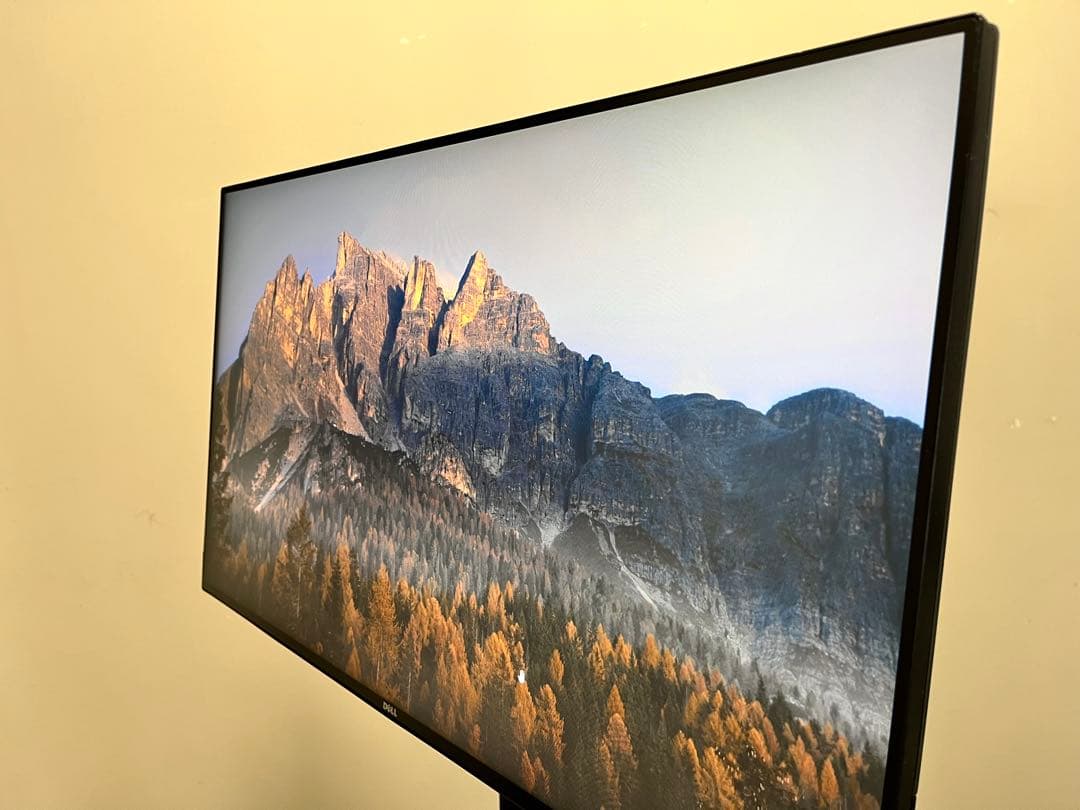 DELL U2417H フルHD液晶　24インチディスプレイ(23.8インチ)