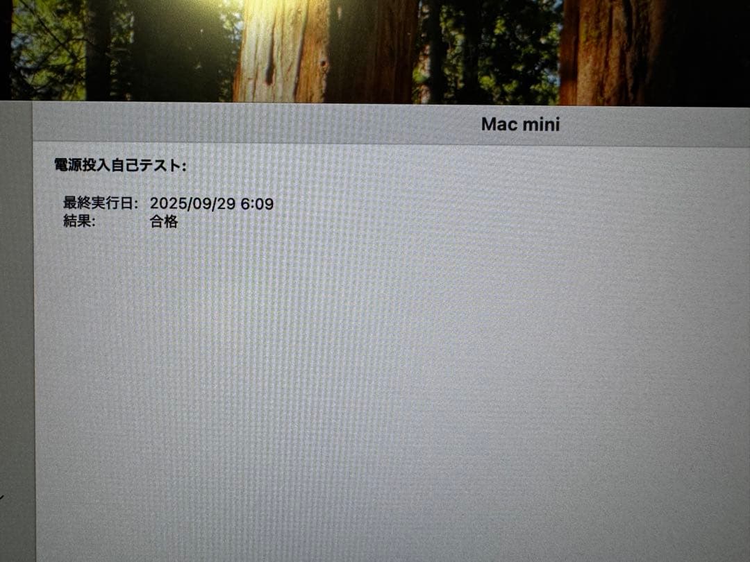 Macデスクトップ Apple Mac mini 2018 (Core i5/16GB/1TB)