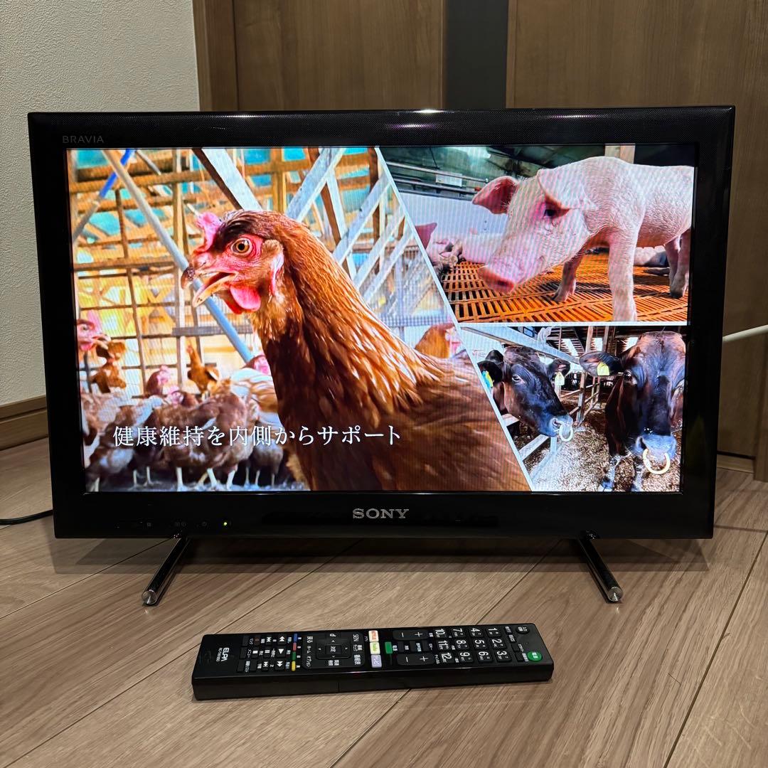 SONY ソニー 22型 液晶テレビ BRAVIA KDL-22EX540