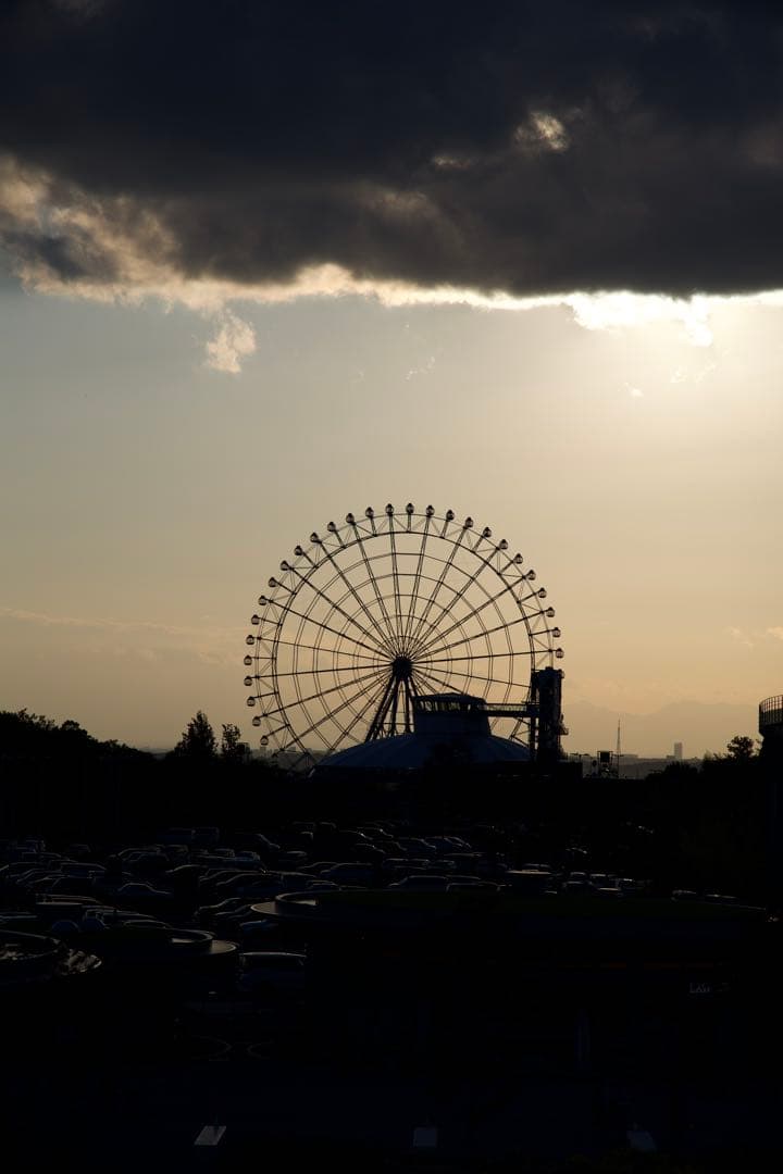 【値引済み】EOSR8とRF24-105 Ｌ　F4