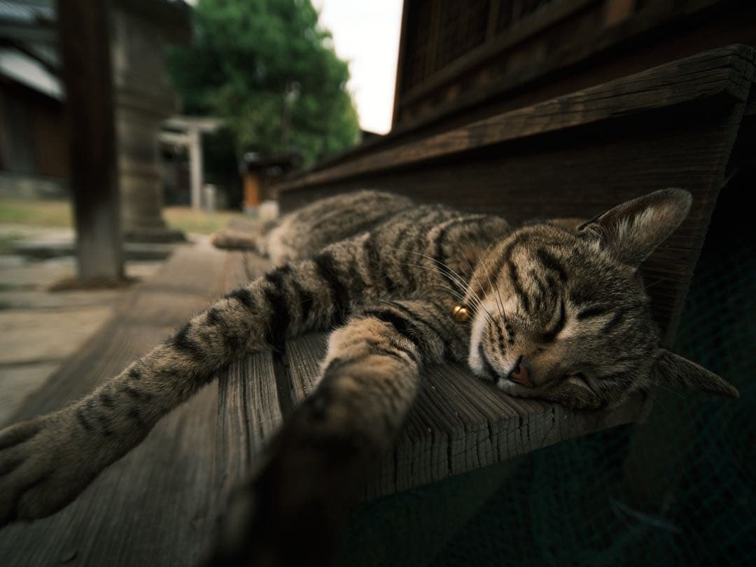 作例付！laowa 17mm f4 ultra-wide GFX ZERO-D