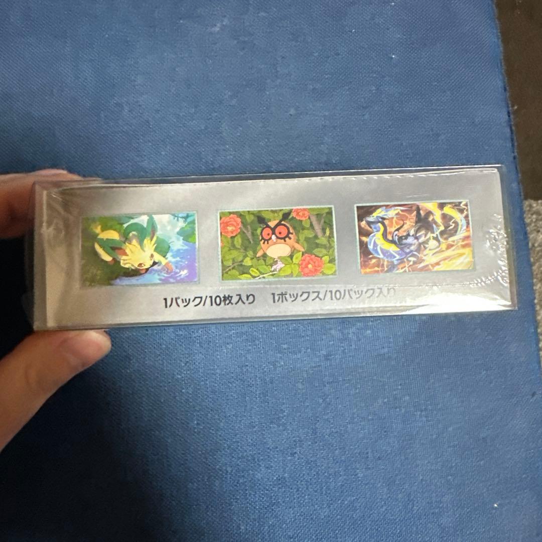 0*m様 ポケモンカードゲーム デラスタルクエストEX