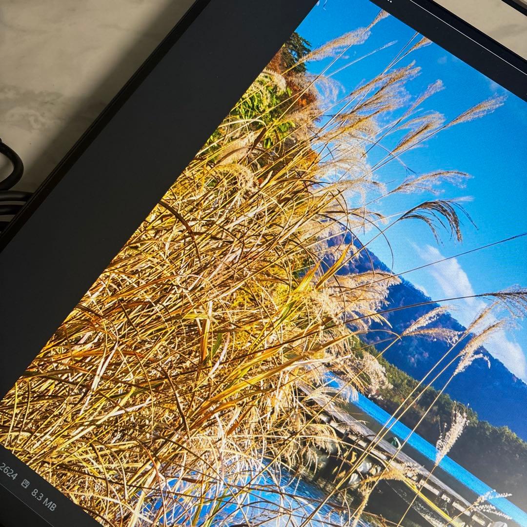 EIZO　EV2456　24型　WUXGA　HDMI　IPS モニター