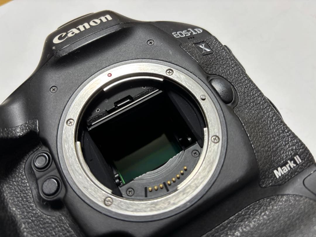 Canon EOS-1D X Mark II 本体 専用バッテリー2個付き
