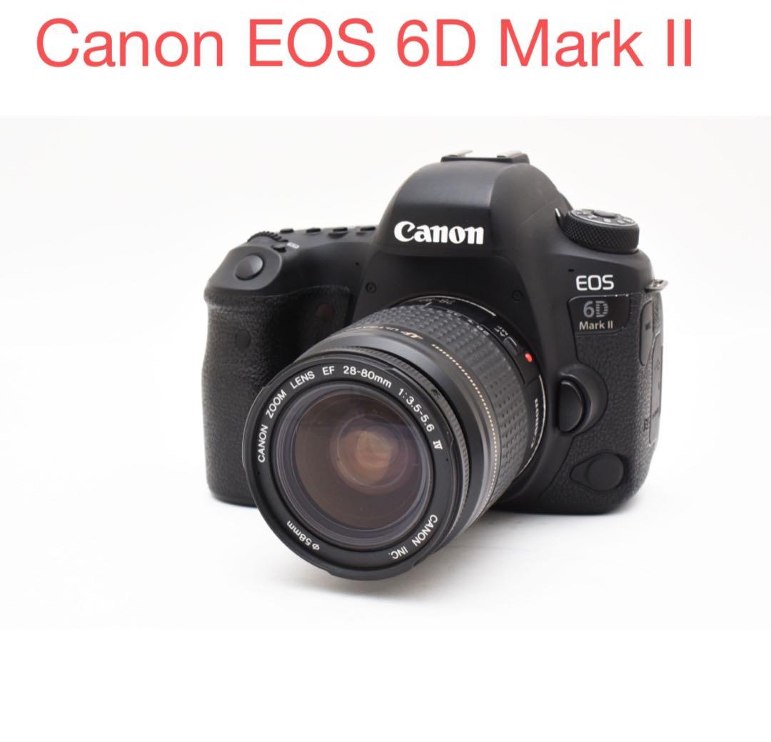 保証付き/デジタル一眼レフカメラ Canon EOS 6D Mark II