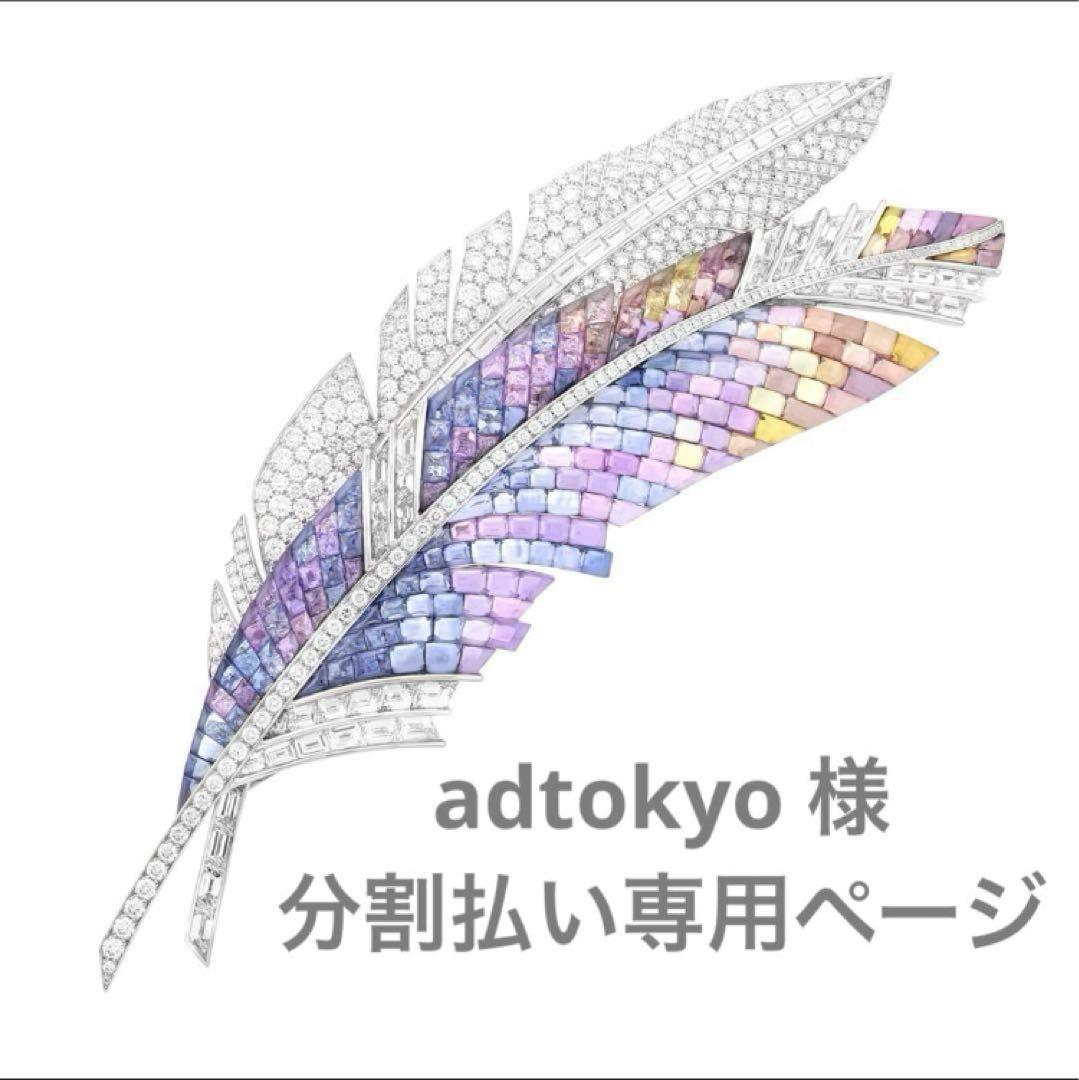 adtokyo 様　2回払い専用ページの2