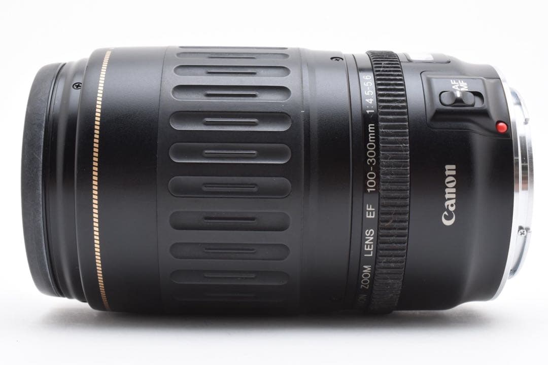 キャノン　望遠レンズ　Canon EF 100-300mm