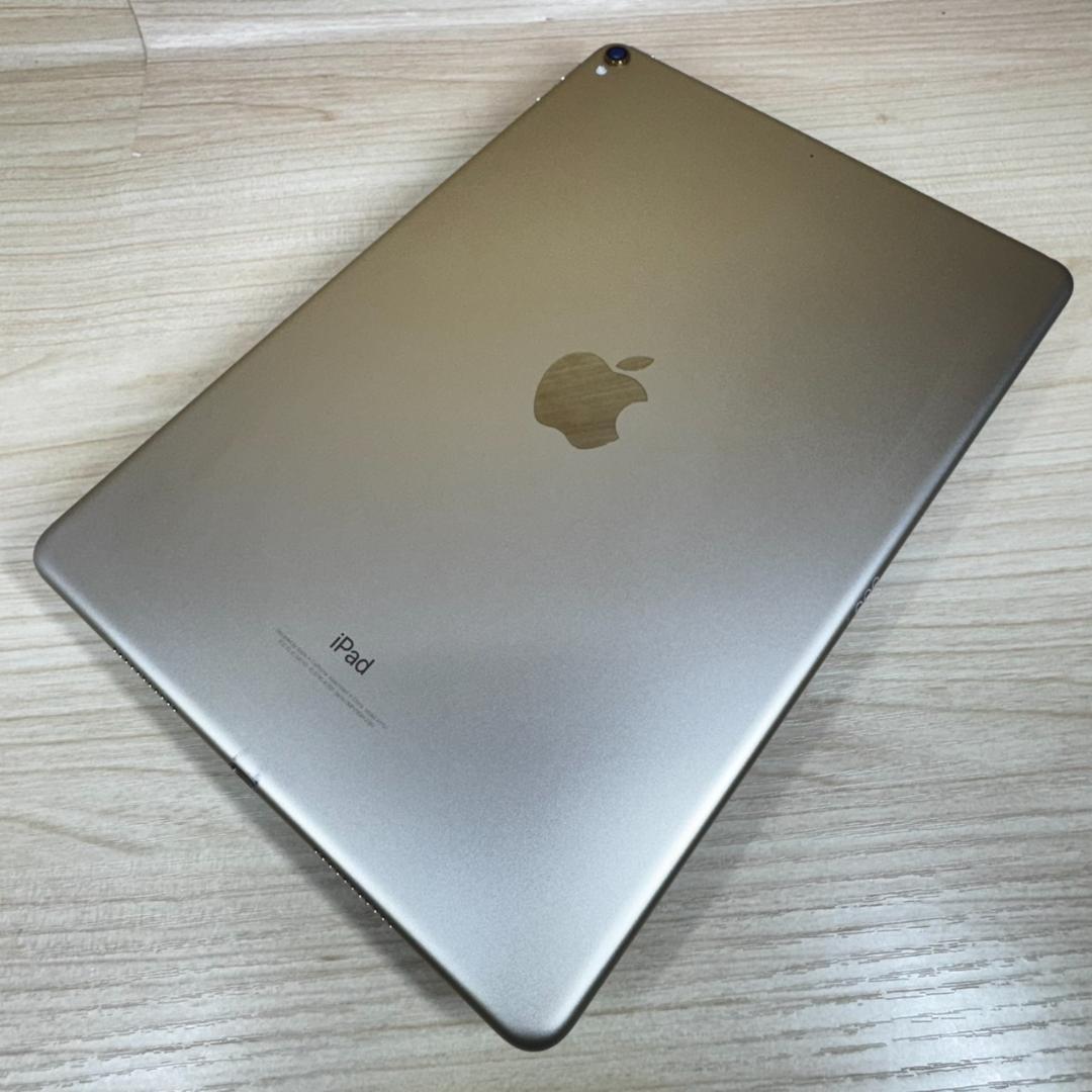 P265 iPad Pro 10.5インチ 64GB おまけ付き