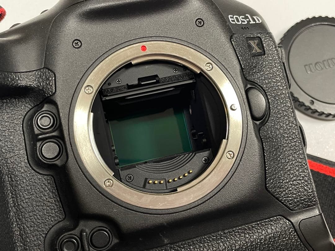 Canon EOS-1DX本体 + CFカード(128GB)