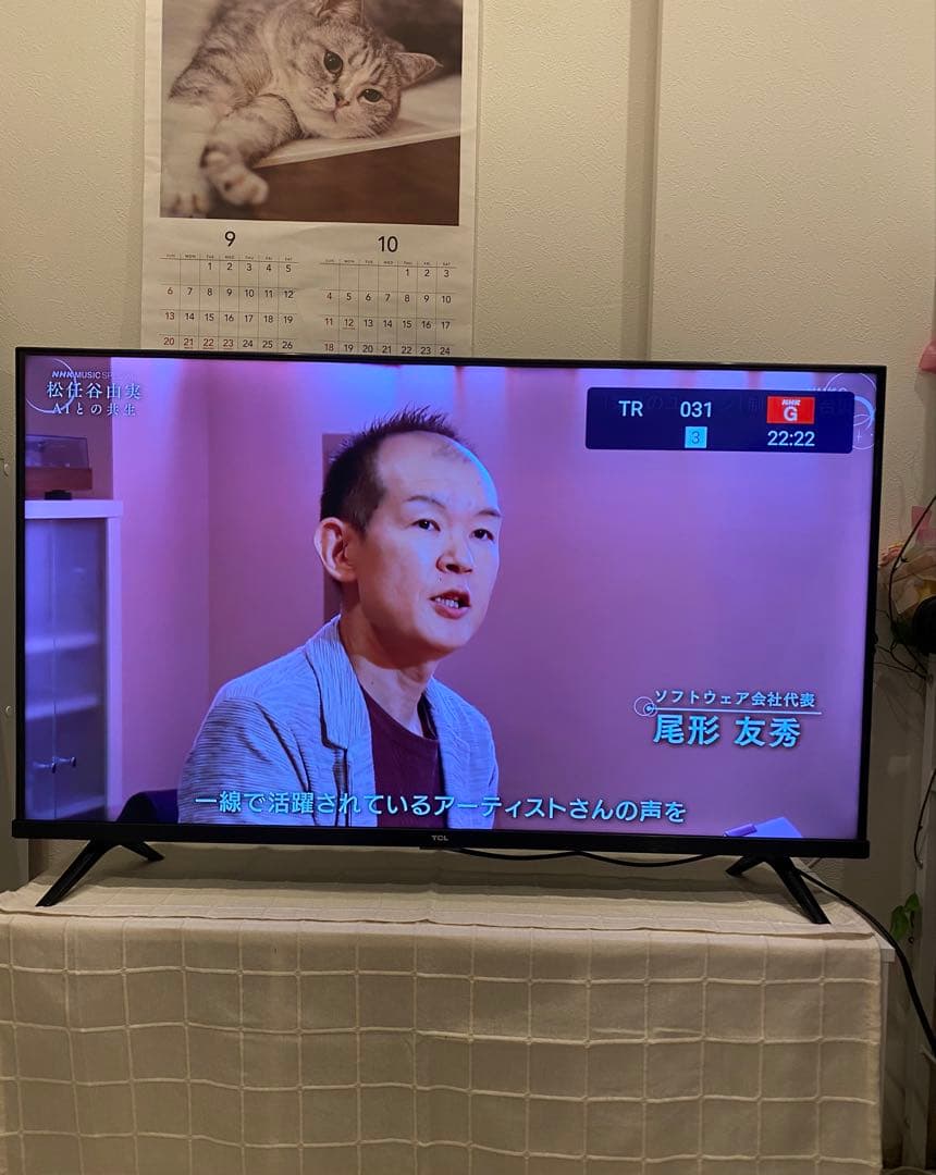 TCL 40S5200B 40インチ液晶テレビ