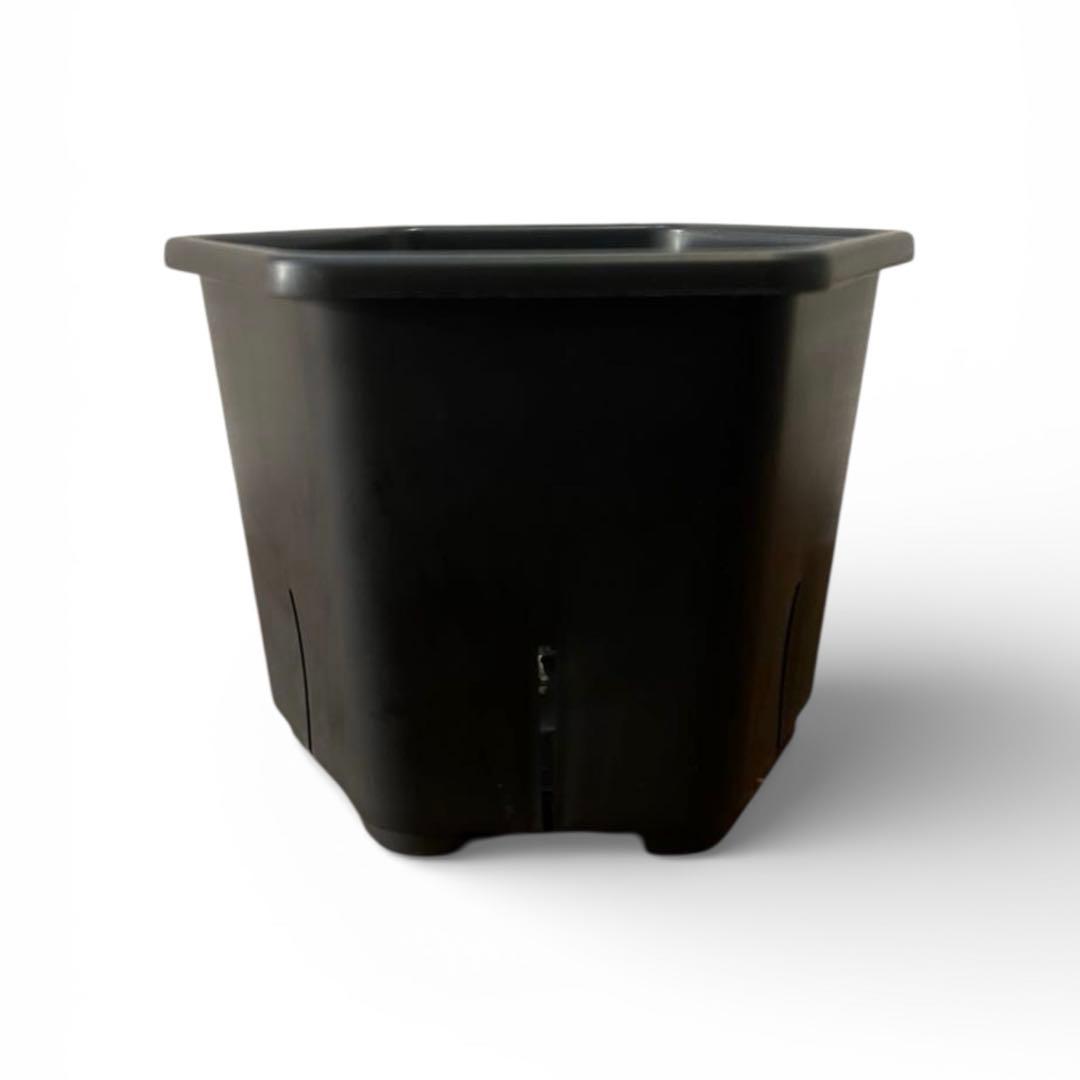 HexaPot (ヘキサポット)5号 サイズ　30個セット