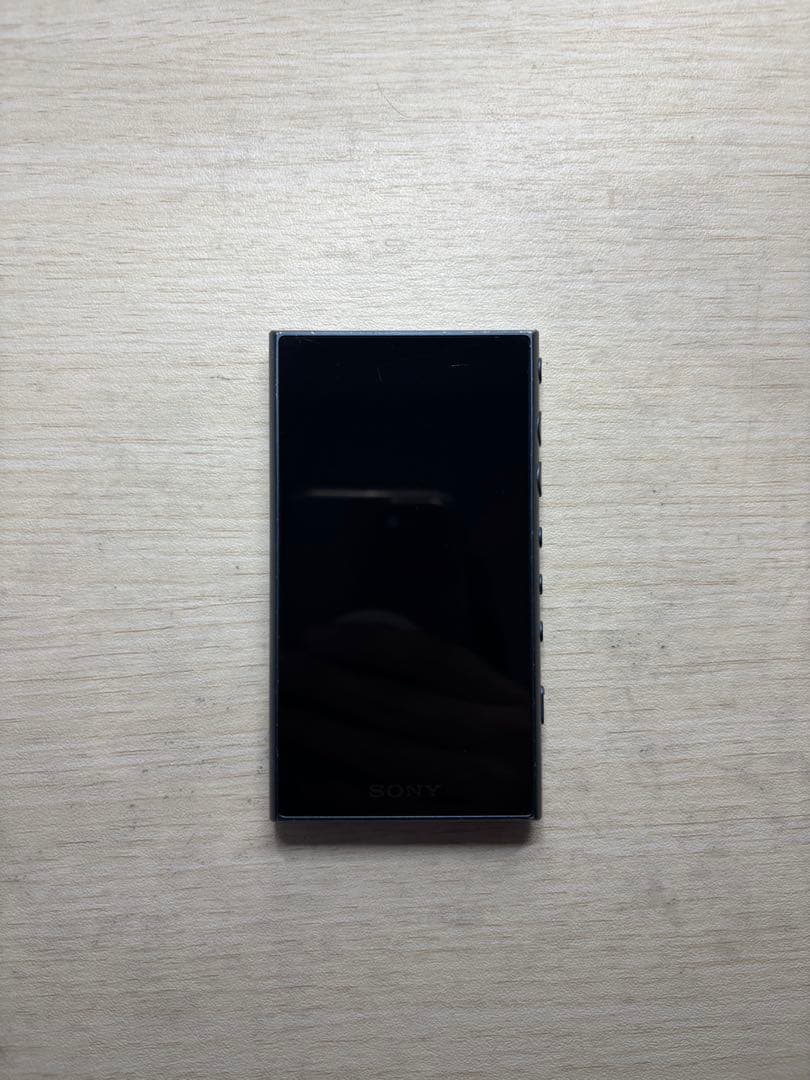 SONY ウォークマン NW-A100シリーズ 16GB 初期化済み 本体のみ