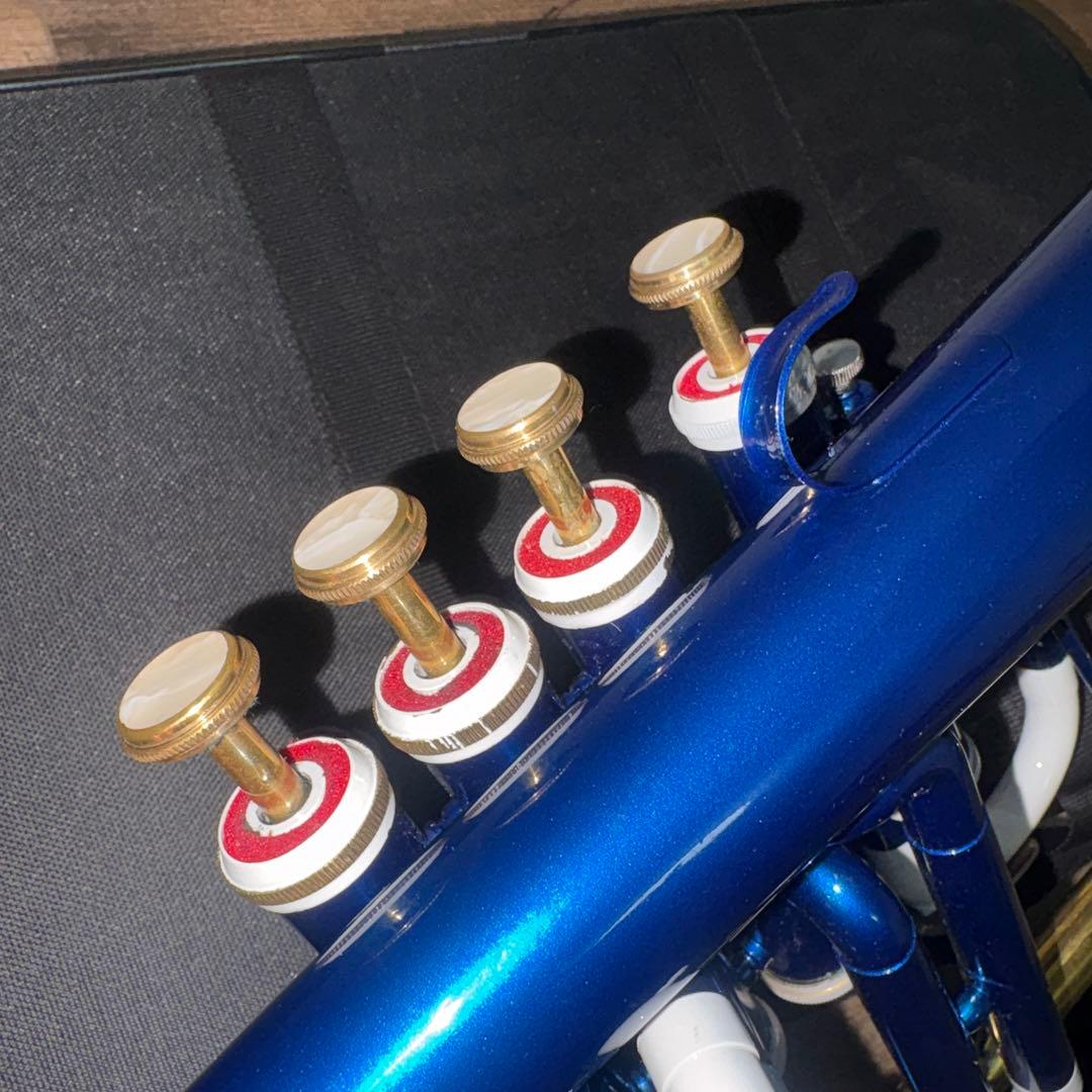 フリューゲルホルン　ブルー＆ゴールド