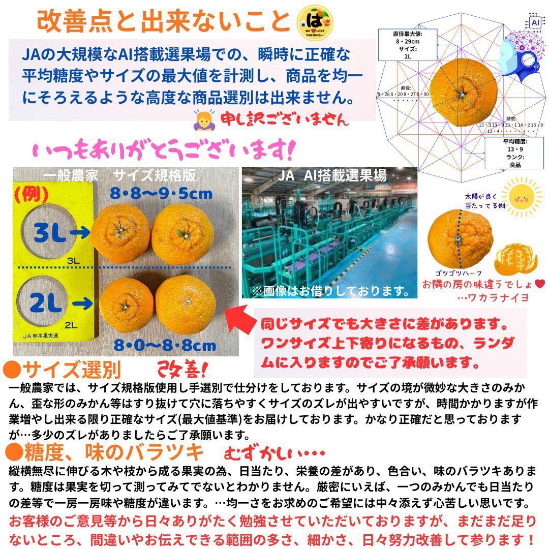 ※確認用　家庭用　大玉MIX箱込み4.5kg以上【露地栽培　不知火　デコポン】