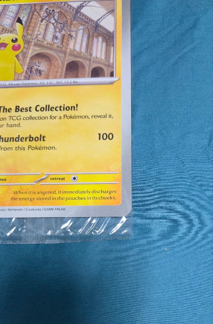 【未開封】ピカチュウ博物館　プロモ　Pikachu At The Museum