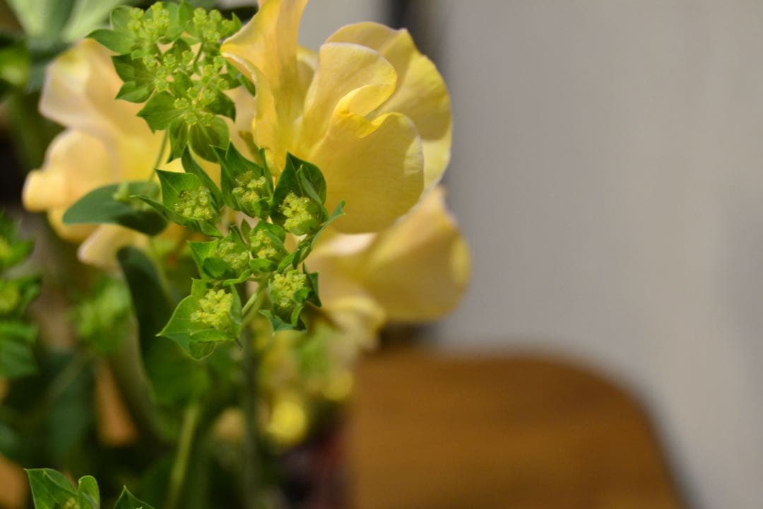 Nikon D3100 デジタル一眼　af-s 18-55 GⅡレンズ付　動作品