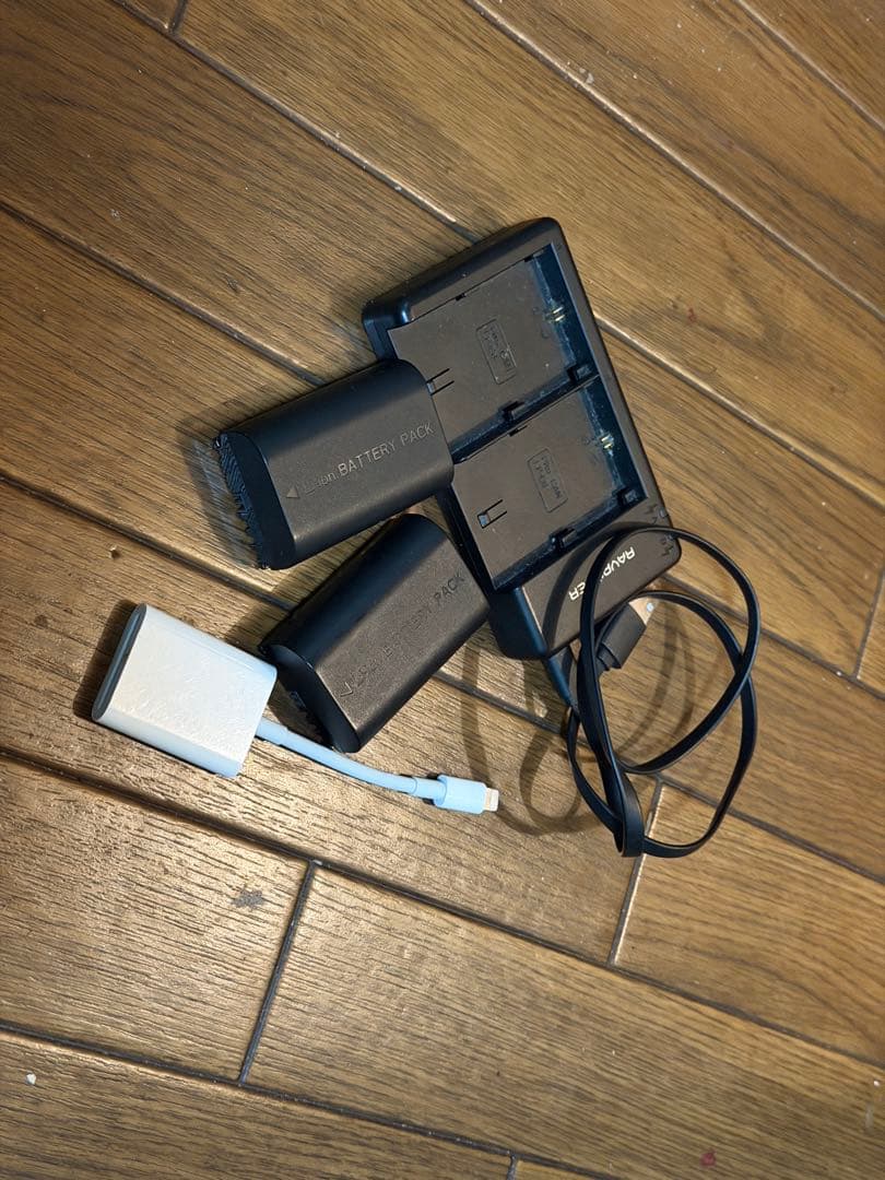 Canon EOS 5D Mark IV モニターに不備あり