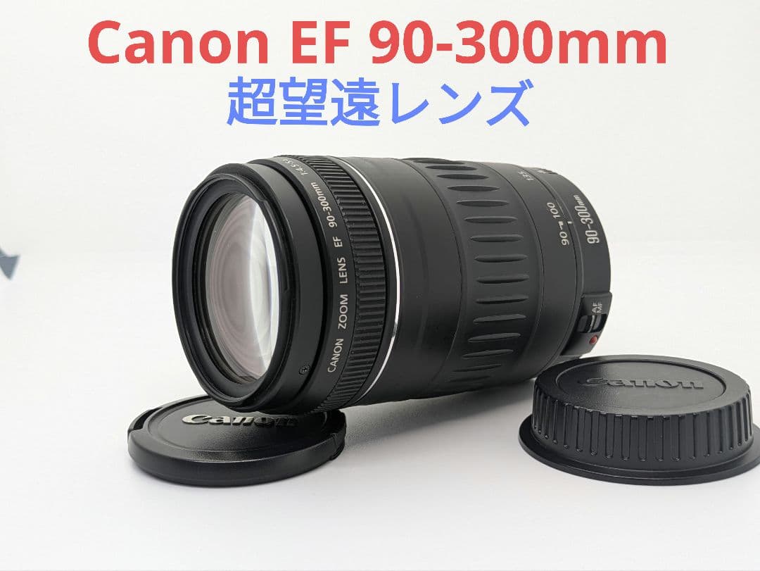 1月19日限定価格♪【超望遠レンズ】Canon EF 90-300mm