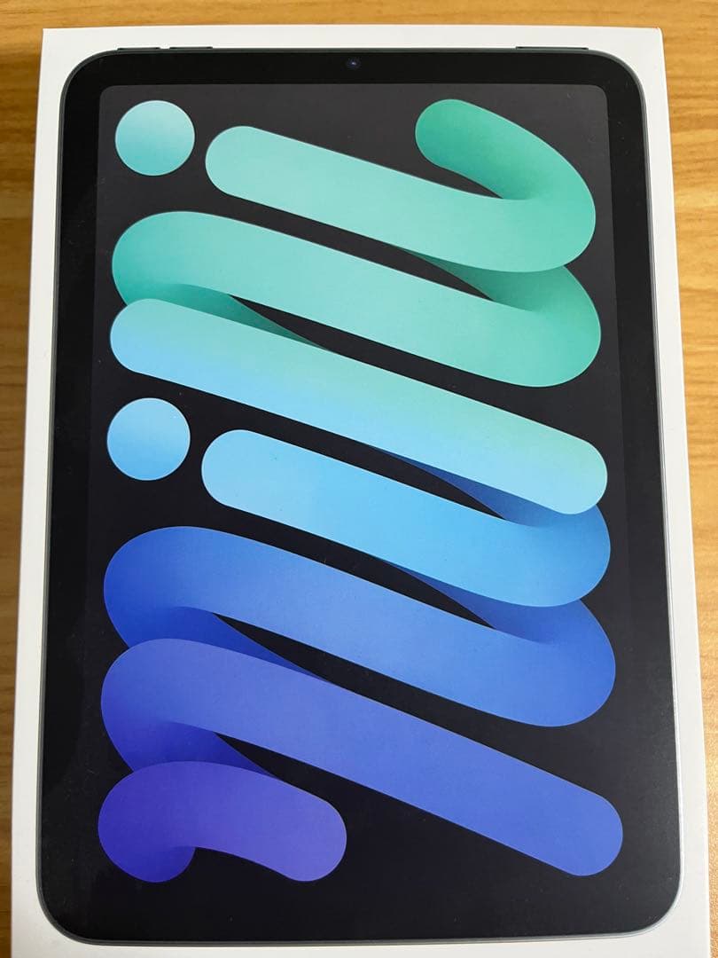 アップル Apple iPad mini （A17 Pro） 256GB