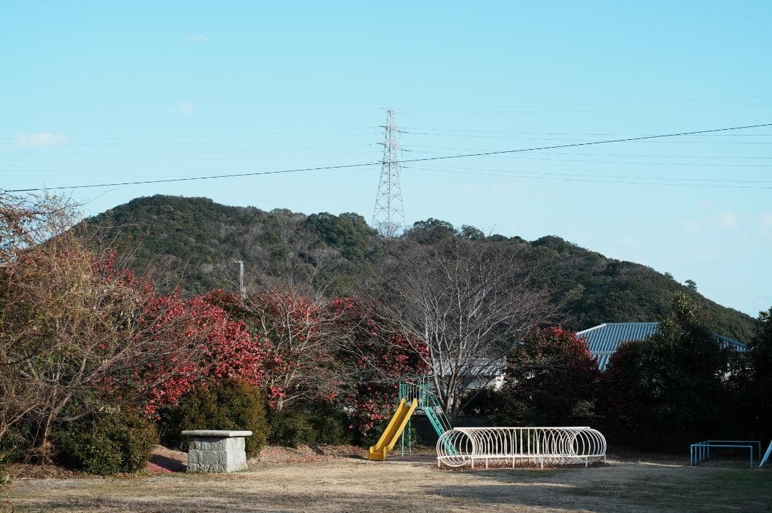 【希少・整備＆テスト済】FUJINON 50mm F1.4 M42 715