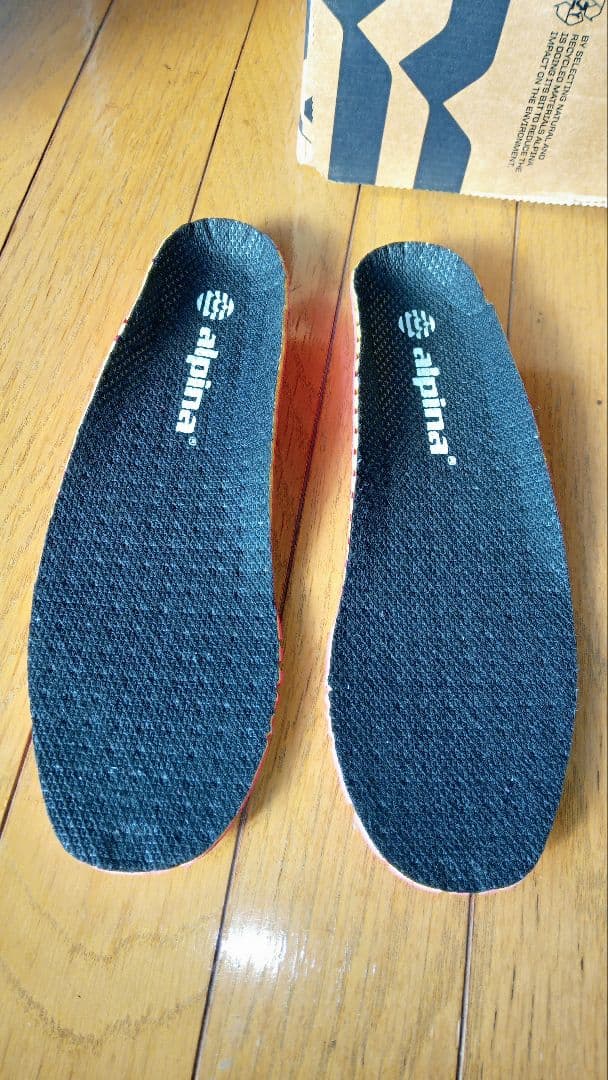 アルピナALPINAクロカンフリー用スケーティングブーツEU41