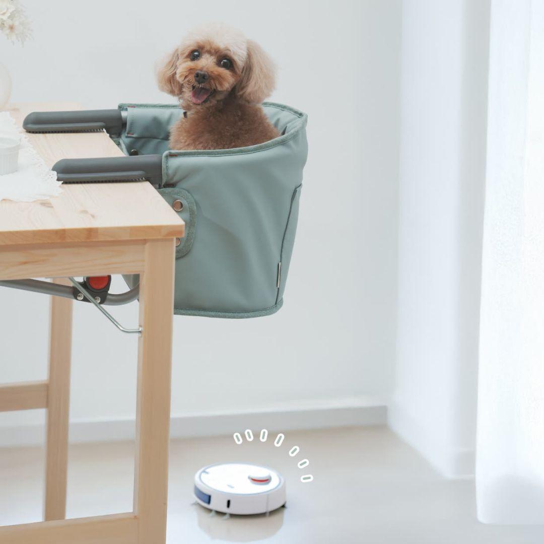 ペット用テーブルチェア ミント 食事サポート