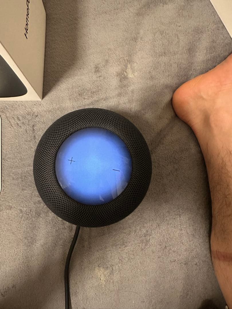 Apple  pod 2 ジャンク品