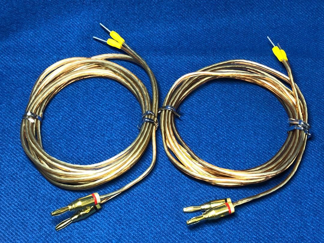 ＪＶＣ ウッドコーン スピーカー SP-EXS1 動作品