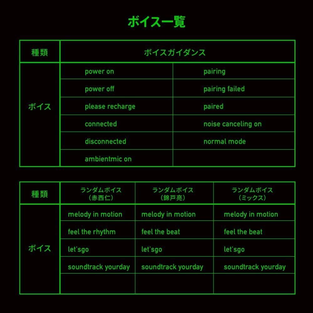 値下げ AVIOT ワイヤレスイヤホン 錦戸亮 赤西仁ボイス TE-Q3-NA2