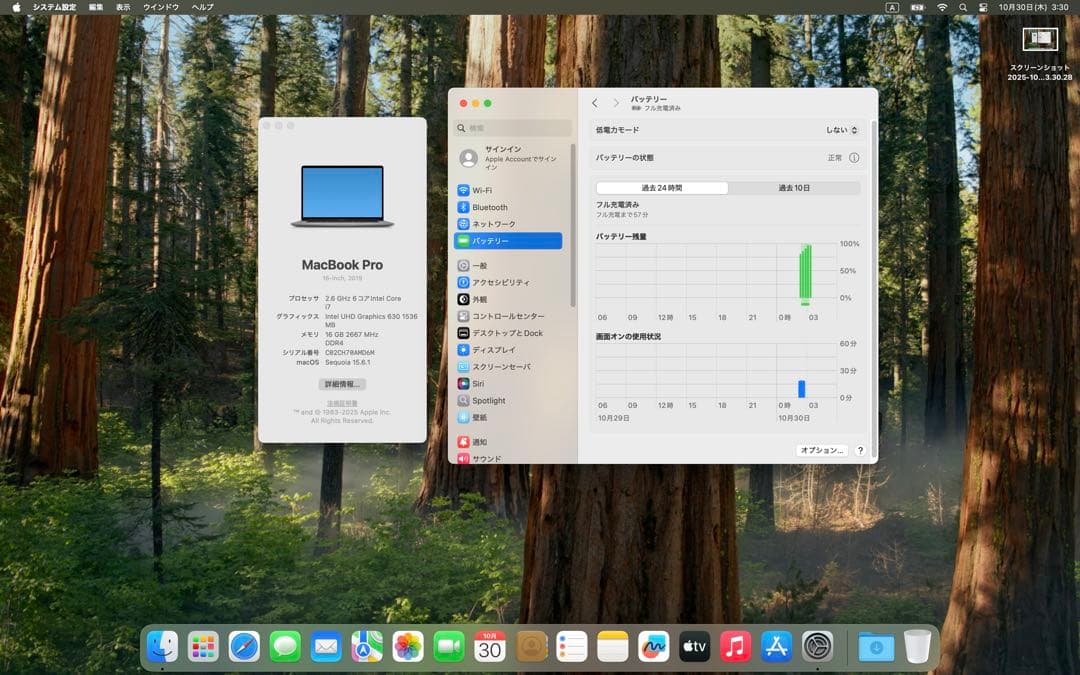 アップルケア有り　16インチMacBook Pro 2019 MacBook