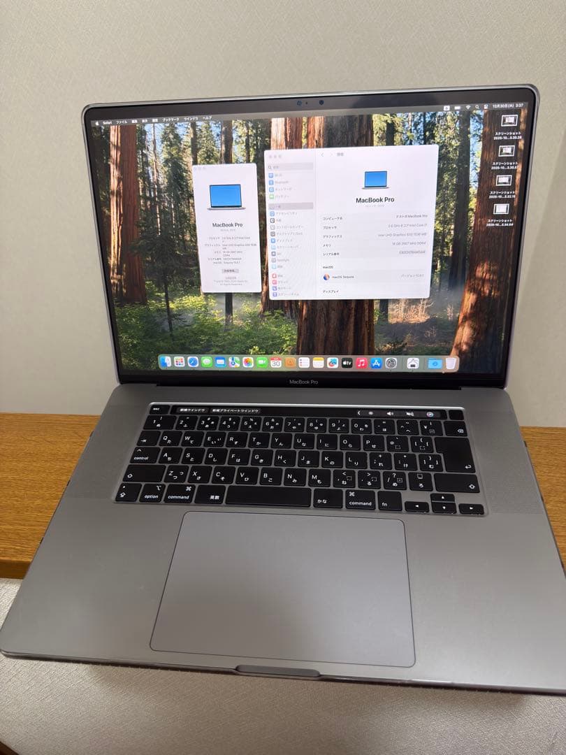 アップルケア有り　16インチMacBook Pro 2019 MacBook
