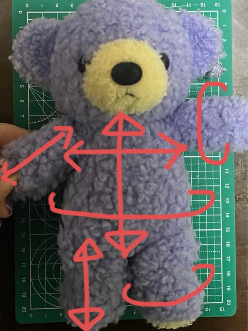 ゆな様ご相談　11月半ば ぬいぐるみコスチューム