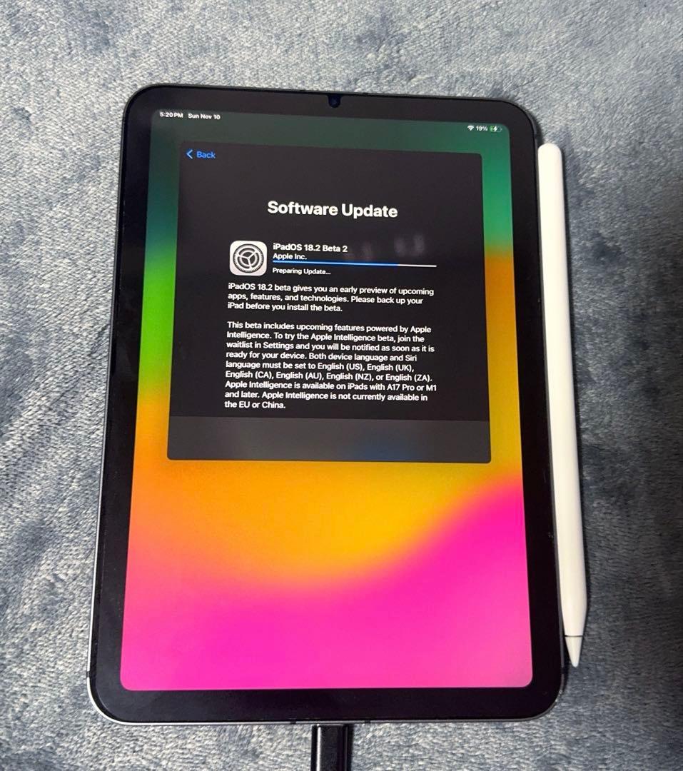 iPad mini6 256GB セルラー　値下げ可能‼️