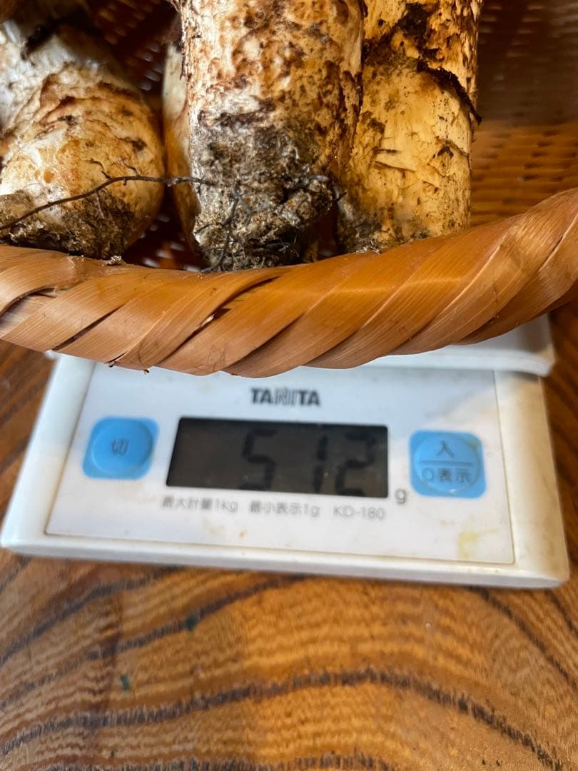 先程採れたて　お得‼️南信州松茸極上ツボミ　開き　512g