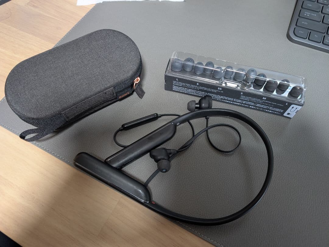 ソニー ワイヤレスノイズキャンセリングイヤホン WI-1000XM2