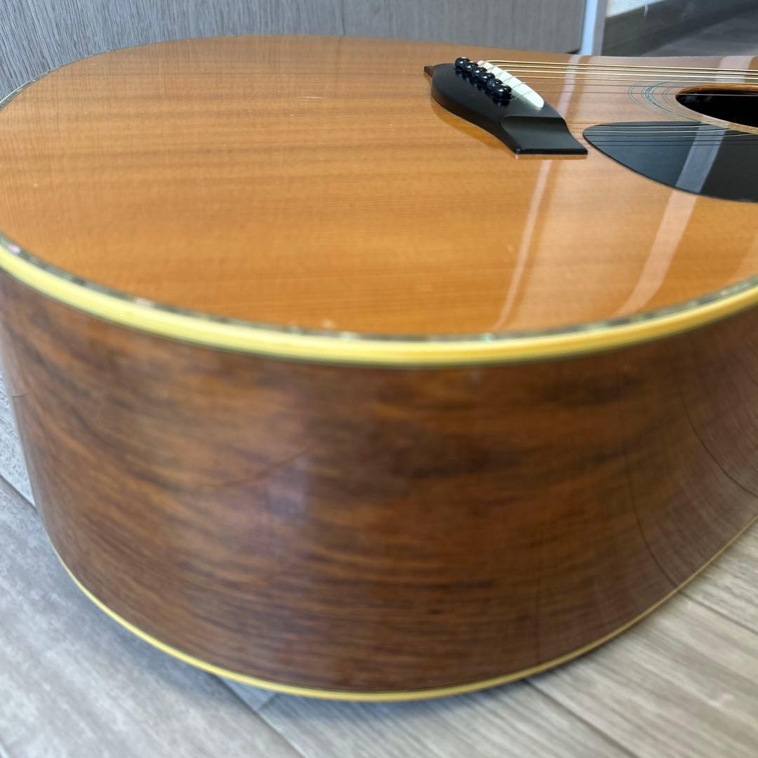 YAMAHA LL 10Jj ニューハカランダ　エレアコ仕様　音質、音量　凄い