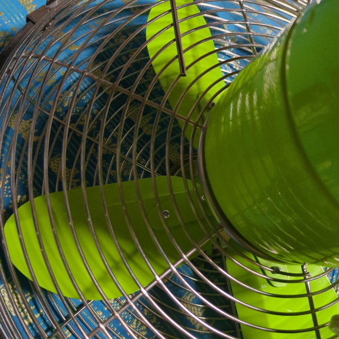 franc franc(フランフラン) レトロキャンディファンCLV-071F