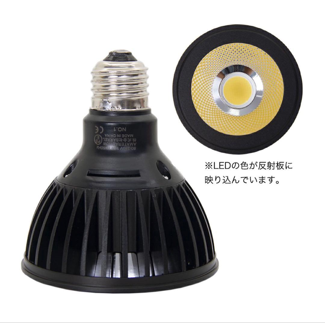 アマテラス LED AMATERASLED 10Wライト2個セット