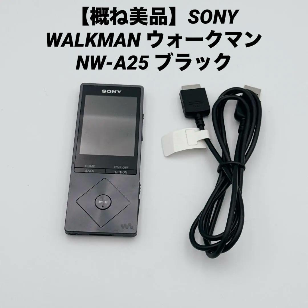 【概ね美品】SONY WALKMAN ウォークマン NW-A25 ブラック
