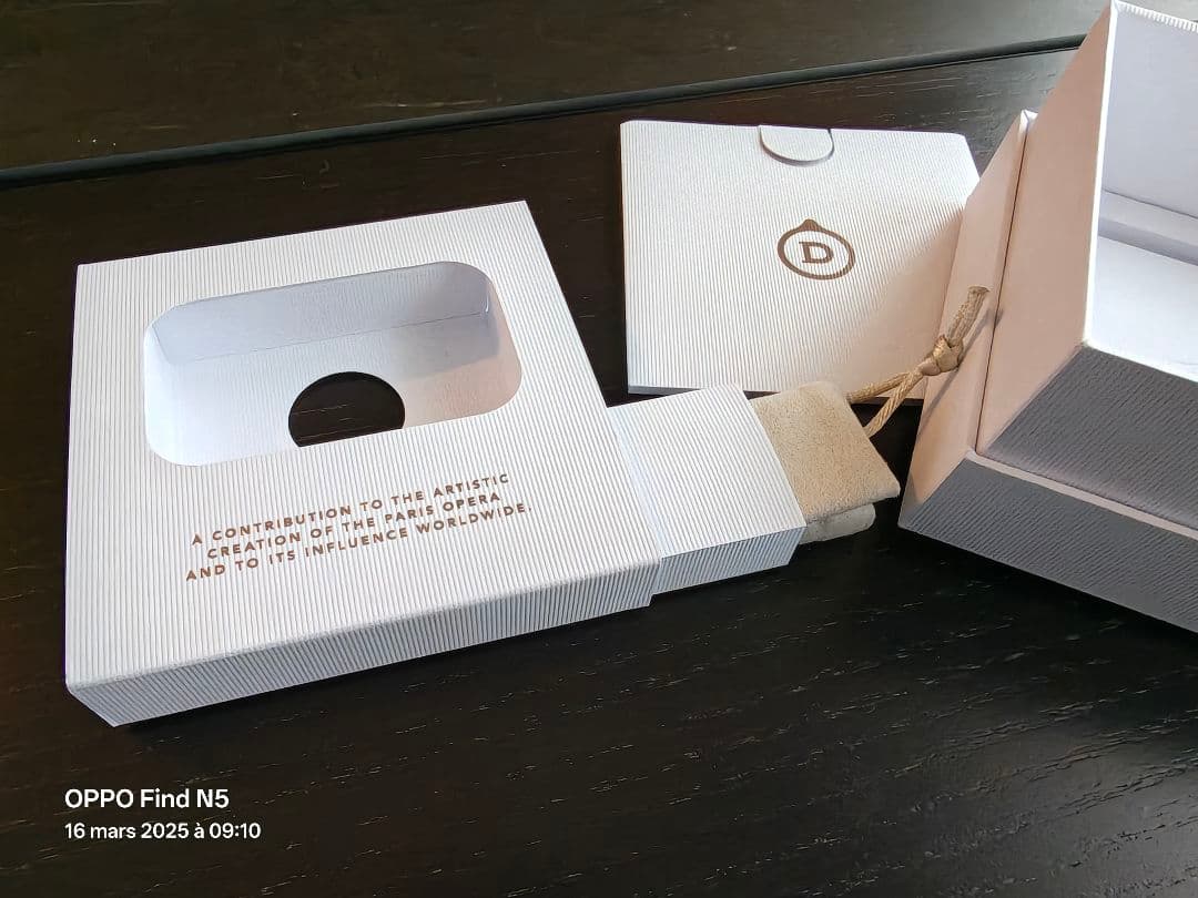 Devialet Gemini II ワイヤレスイヤフォン オペラ版