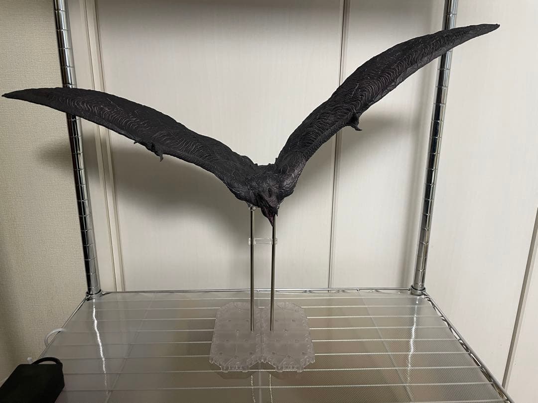 東宝大怪獣シリーズ ラドン（2019）