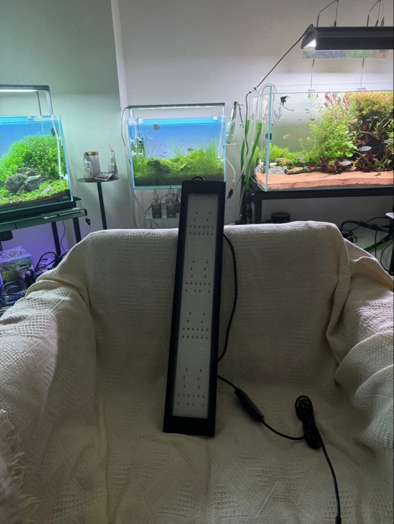 ゼンスイ LED Viiita600 60cm水槽 ライト 熱帯魚